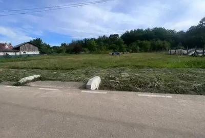 Teren de 600 mp, în Bascov