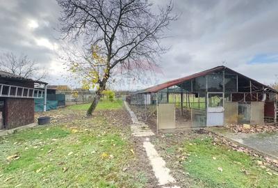 Teren generos cu o casa locuibila in Timisoara, cartier Freidorf, pe s - 10