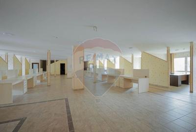 Hala, magazin ?i birouri de Inchiriat, Zona Metro, Su=... - 18