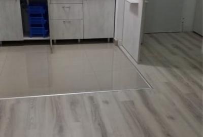 Apartament cu 2 camere decomandat, mobilat în Dristor - 4