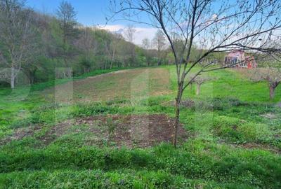 Teren 6650 mp, cu casa nefinalizata de 111 mp, in Nisipoasa