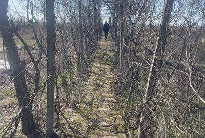 Casă cu 3 camere în Central - 1