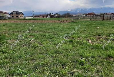 Eren intravilan 1400 mp de vanzare pe Valea Avrigului - 5