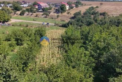 Teren de vanzare 1935 mp Piatra Neam? - Str. Plantelor - 1