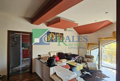 Pozitionat excelent in apropiere de Hotel Mercure. Pozitionat excelent in apropiere de Hotel Mercure. - 2