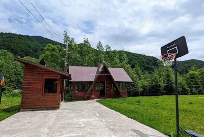 Casă cu Teren 3900 Mp în Rucăr - 5