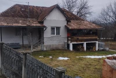 Casă cu Teren 1800 Mp în Racâș - 2