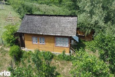 Teren de 6200 mp, în Cicănești - 3