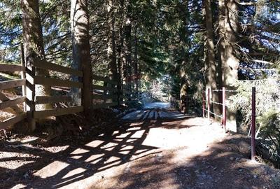 Priveliste Bugeci, Magura, Piatra Craiului | PUZ aprobat Pensiune - 10