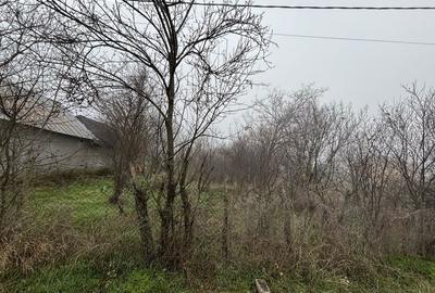 Teren de 2461 mp, în Sârbeni - 3