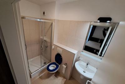 Apartament cu 3 camere semidecomandat, mobilat în Lipovei - 3