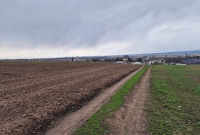 Teren agricol intravilan de 10000 mp, în Vest - 3