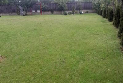 De vanzare casa in sat Pocola la 5 km de ora?ul Beiu? - 4