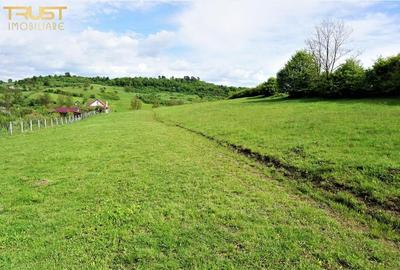 Teren intravilan Valea Castailor Bistrita - 3