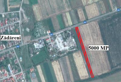 Teren de 5000 mp, în Zădăreni