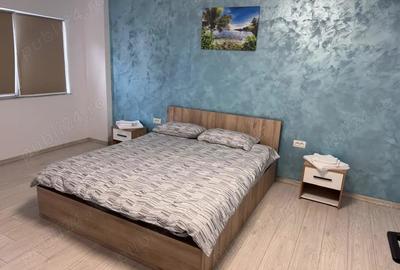Cazare regim hotelier-apartament 2 camere Cazare regim hotelier-apartament 2 camere - 2