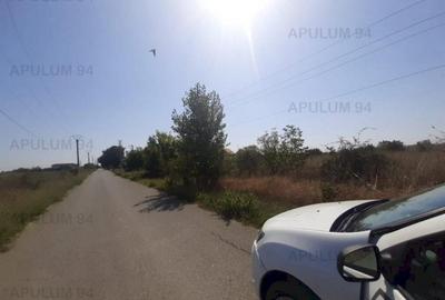 Teren pentru case in 1 Decembrie - 16