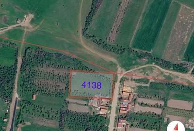 Teren de 4138 mp, în Babșa - 1