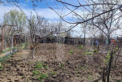 Teren de 1000 mp, în Bariera Vâlcii - 8