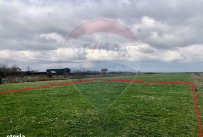 Teren de 500 mp, în Tărlungeni - 4