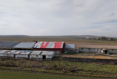 Teren de 4300 mp, în Sălcioara - 2