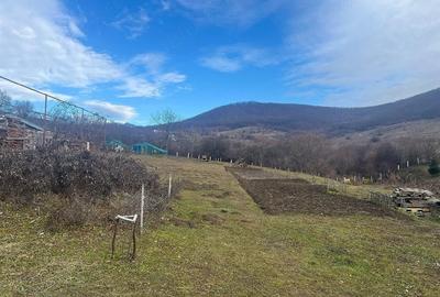 Casă cu 2 camere cu Teren 5800 Mp în Herina - 7