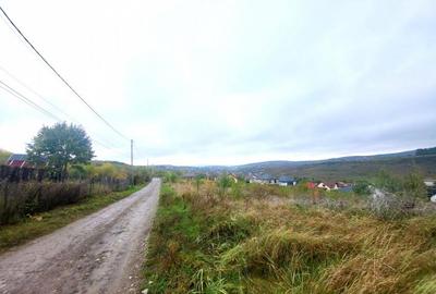 Teren de vanzare Barnova, cu priveliste Vanzare imediata - 3