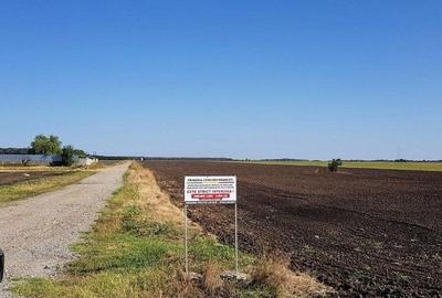 Branesti teren intravilan 30700 mp Branesti teren intravilan 30700 mp - 10