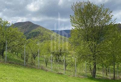 Teren de 1042 mp, în Sadu