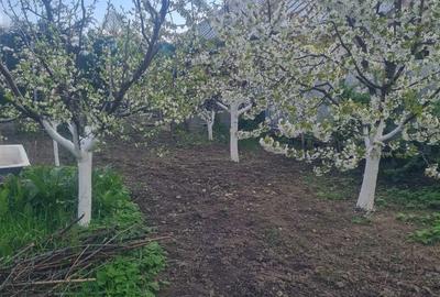 Casă cu 3 camere în CFR - 4