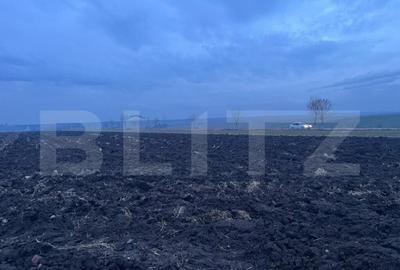 Oportunitate investi?ie, teren 10000 mp, toate utilita?il - 4