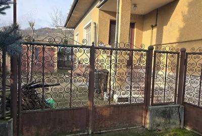 Vand casa in Deva, D+P, zona ultracentrala (E. Vacarescu), suprafata totala de teren 223 mp, - 20