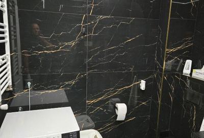 Apartament in regim hotelier Baia Mare - 3