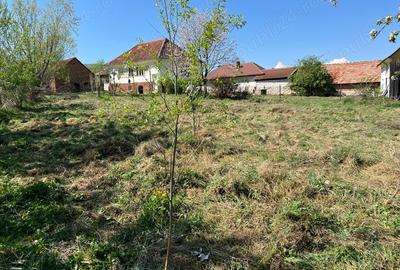 Casă cu 2 camere cu Teren 3800 Mp în Nucșoara - 5