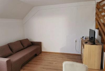Apartament cu 2 camere semidecomandat în Ștrand - 3