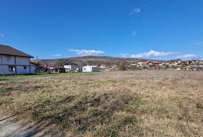 BUDESTI - TEREN 2550 MP - 11