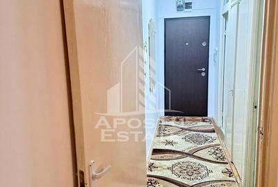Garsonieră, mobilată în Elisabetin - 5
