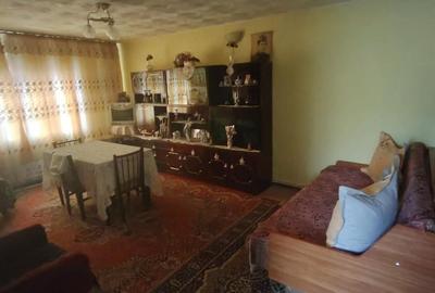 Casă cu 4 camere cu Teren 10000 Mp în Căbești - 3