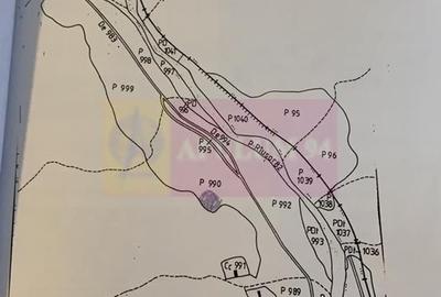 Berevoiesti / AG - teren 834 mp de vz in zona pensiunii Perla Rausor - 2