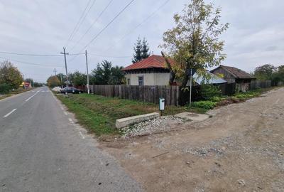 Casa +Teren1300mp[livada+vie] Sat Izvoru Giurgiu - 5