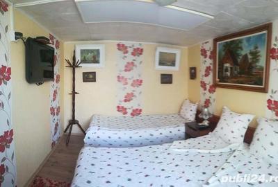 Casă cu 11 camere cu Teren 2200 Mp în Crișan - 11