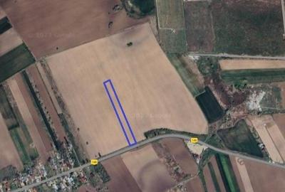 Vanzare teren 5.000 mp, stradal, DC 148 Bolintin Deal - Poenari - 3