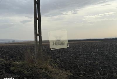 Teren de 20300 mp, în Central - 2