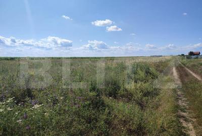 Teren de 4200 mp, în Central