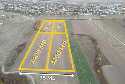 Teren Construcții intravilan de 11600 mp, în Remetea Mare - 1