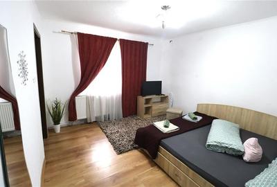 Casa, curte proprie, centrala in zona Sagului - 3