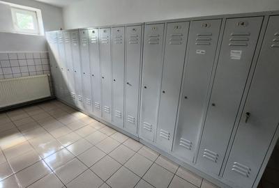 Spatiu industrial productie/ depozitare, Timiș - 15