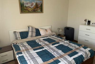 Apartament cu 2 camere decomandat, mobilat în Giroc - 4