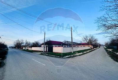 Casă individuală cu 3 camere cu Canalizare în Progresu - 19