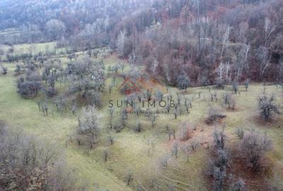 Teren 36000 m2, intravilan+partial extravilan, cadastru, Draganeasa PH - 3